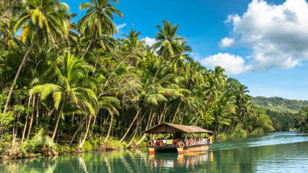 3 Days in Bohol – Nature, Marine Life & Island Adventures