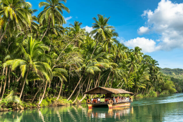 3 Days in Bohol – Nature, Marine Life & Island Adventures