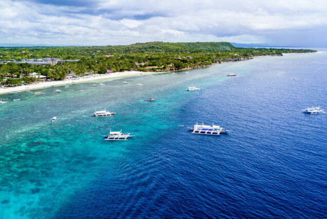 3 Days in Cebu + Bohol –  Iconic Countryside & Oslob Highlights