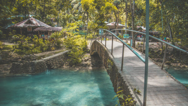 4 Days in Cebu + Bohol – Countryside Wonders, Moalboal & Oslob