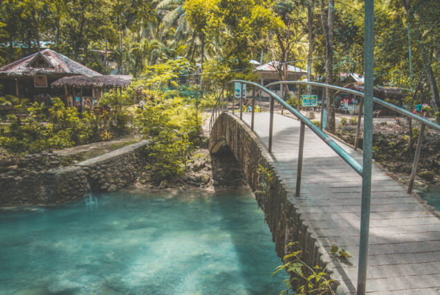 4 Days in Cebu + Bohol –  Countryside Wonders, Moalboal & Oslob