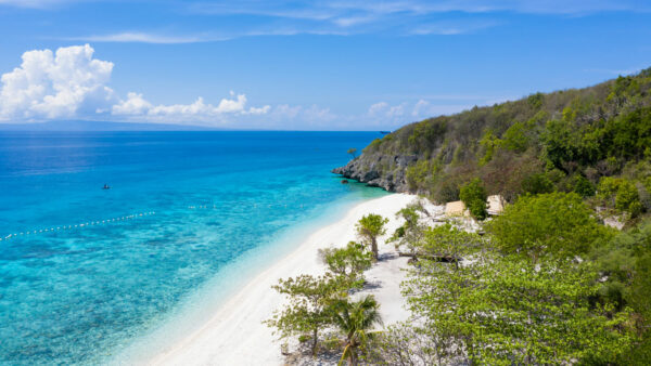 Cebu South Day Tour – Whale Sharks, Islands & Coastal Adventure