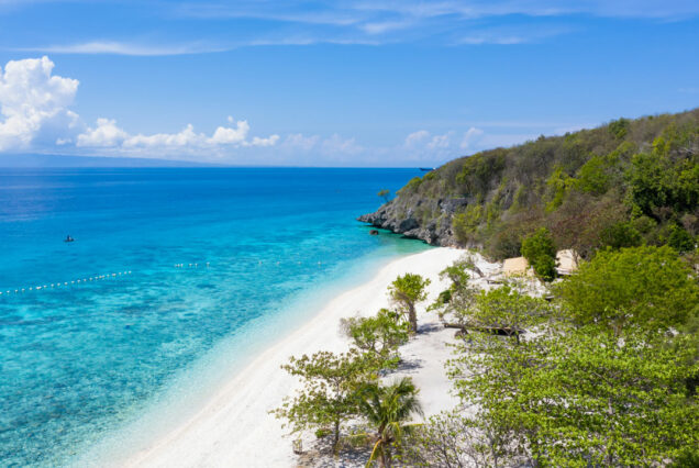 Cebu South Day Tour – Whale Sharks, Islands & Coastal Adventure