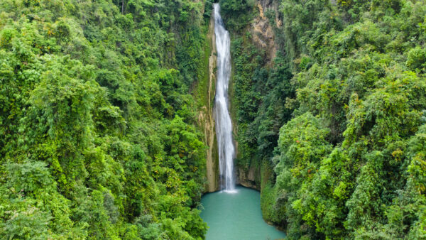 Moalboal & Badian Day Tour - Sardines, Turtles & Canyoneering