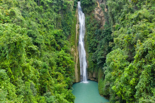 Moalboal & Badian Day Tour - Sardines, Turtles & Canyoneering