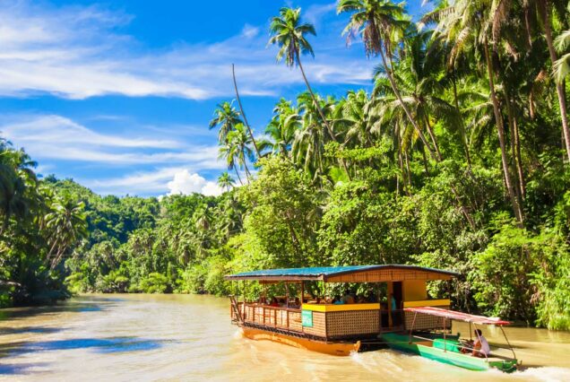 Experiencia de crucero por el río Loboc en Bohol