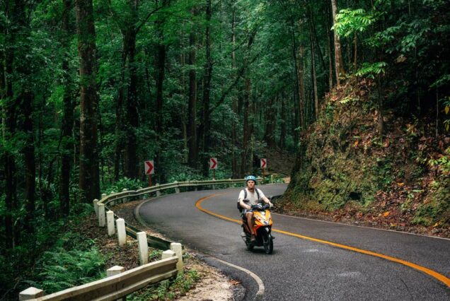 Camino forestal artificial en Bohol, Filipinas
