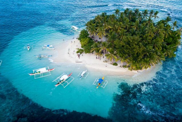 Guyam Island palm trees and clear water, Siargao island hopping tour