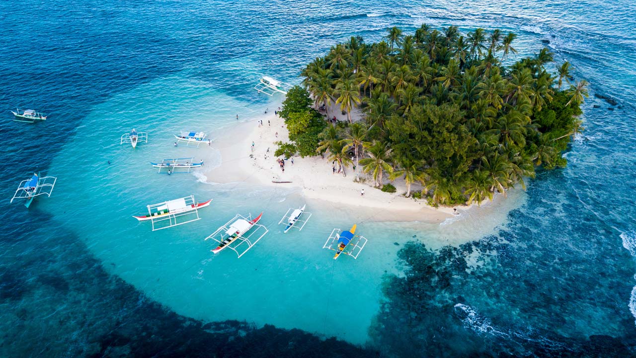 Guyam Island palm trees and clear water, Siargao island hopping tour