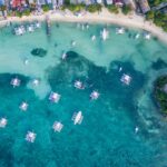 Malapascua vs Moalboal comparison - thresher sharks and the sardine run