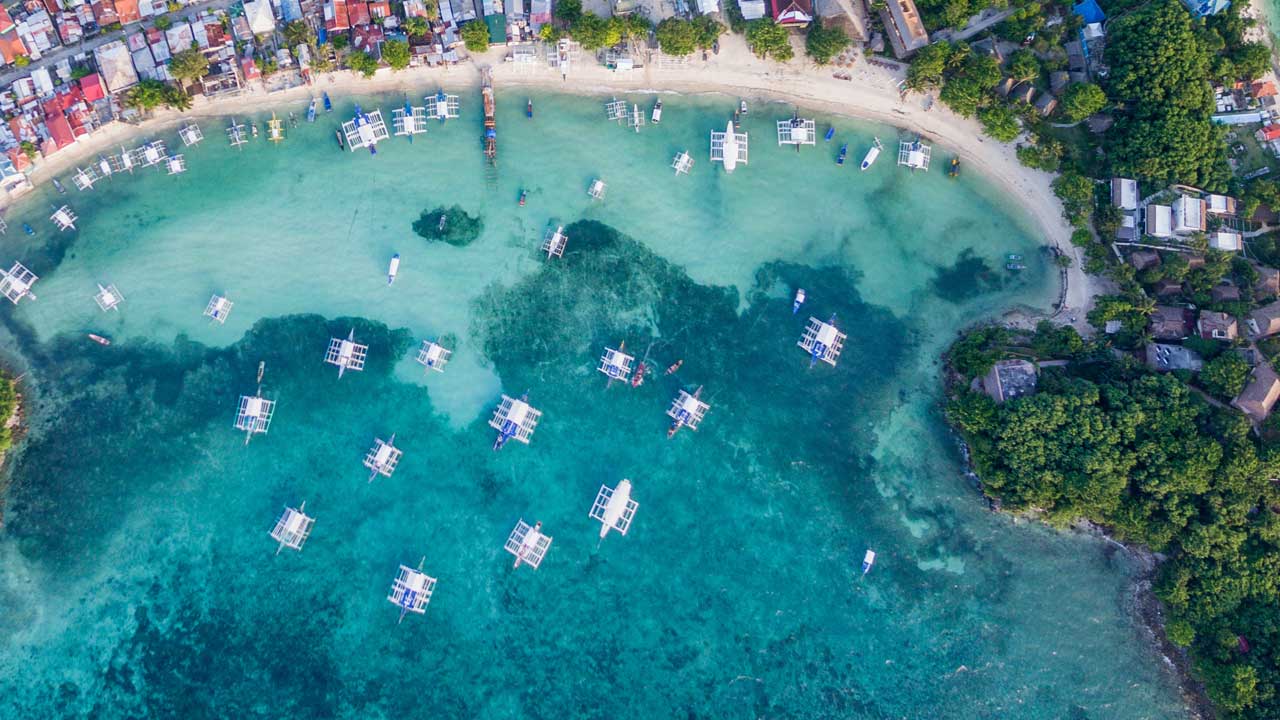Malapascua vs Moalboal comparison - thresher sharks and the sardine run